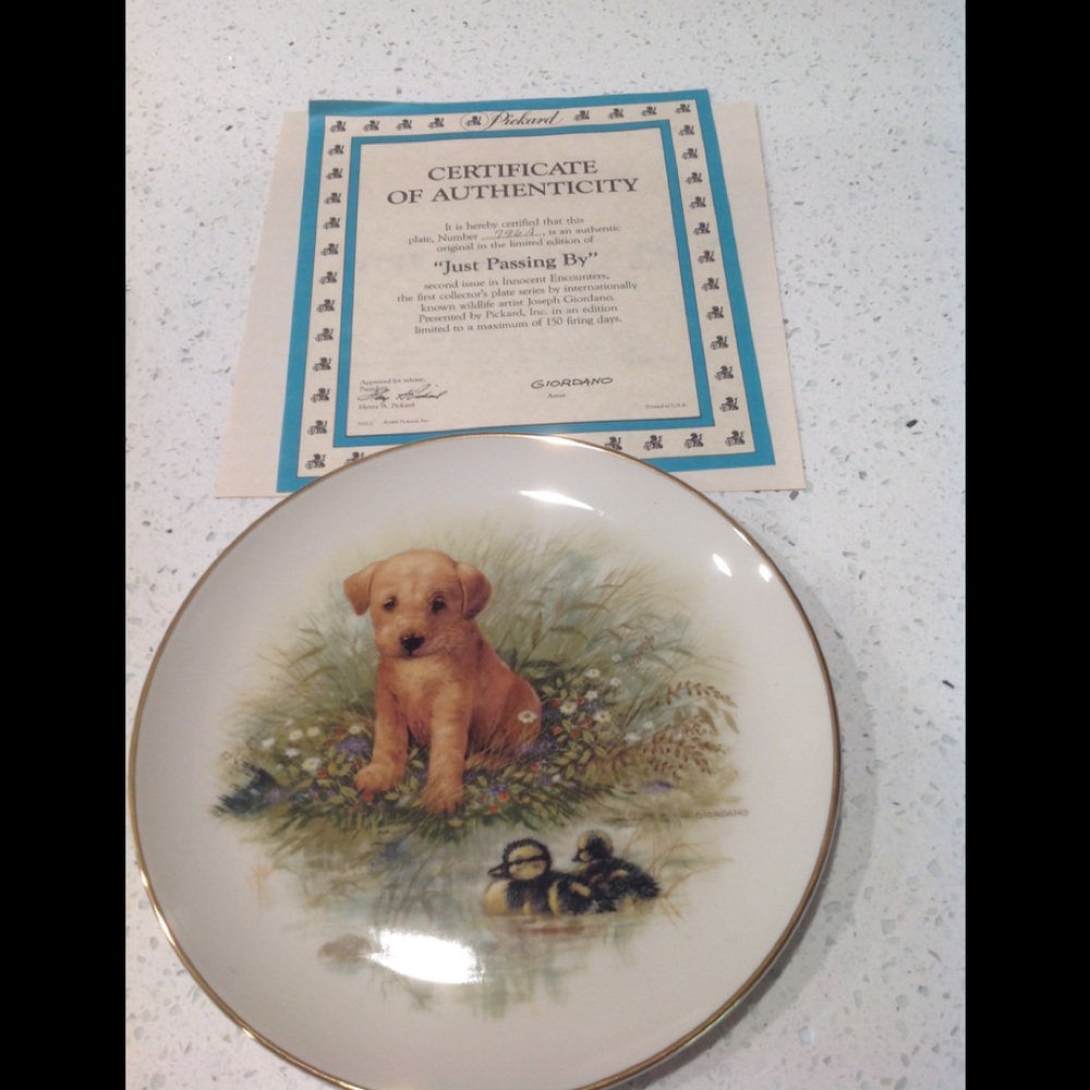 Picard fine China puppy watching ducks plate